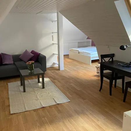 Apartment Alte Bruecke Heidelberg