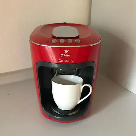 Alte Bruecke * Heidelberg